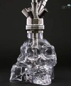 Alternative view of AMY AMIR`S 300r 3D SKULL