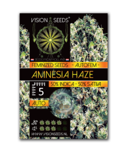 Auto AMNESIA HAZE - 05 zaden - VT