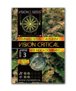 Auto VISION CRITICAL - 05 zaden - VT