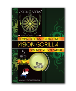 Auto VISION GORILLA - 5 zaden - VT