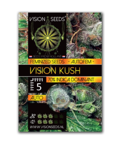 Auto VISION KUSH - 05 zaden - VT