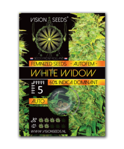 Auto WHITE WIDOW - 05 zaden - VT