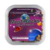MushRocks - 15 gram