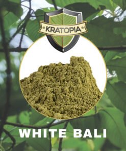 Alternative view of White Bali Kratom - 50 gram