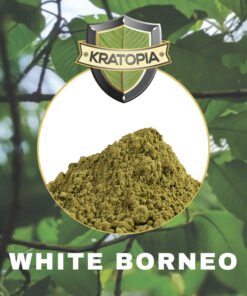 Alternative view of White Borneo Kratom - 50 gram